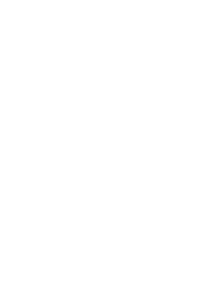 Asset-2
